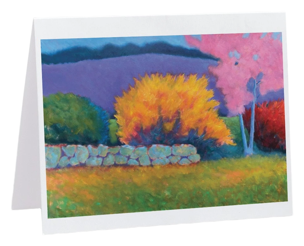 Note Cards